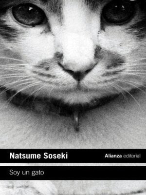 cover image of Soy un gato